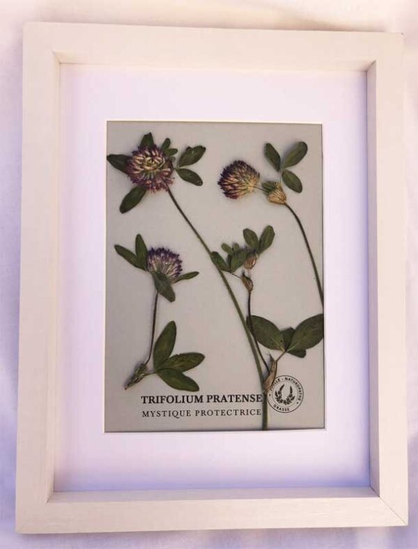 Tableau MYSTIQUE PROTECTRICE