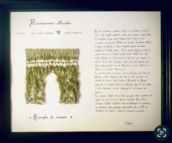 Triomphe du romarin