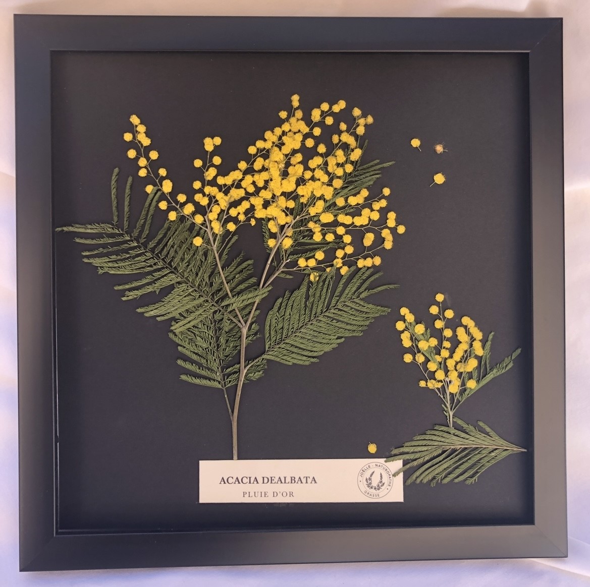 Tableau PLUIE D’OR