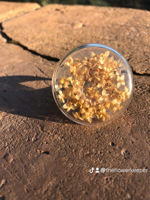 Bague ronde fleurs d'Olivier