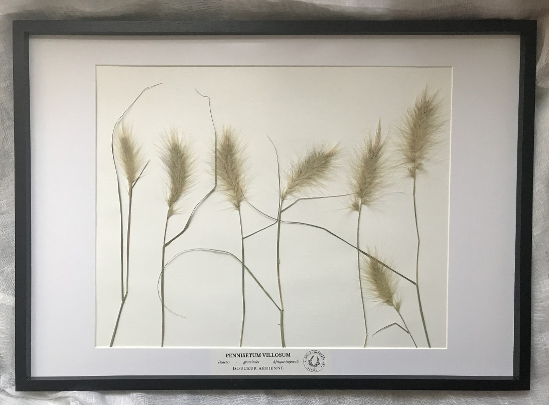 DOUCEUR AERIENNE – Image 2